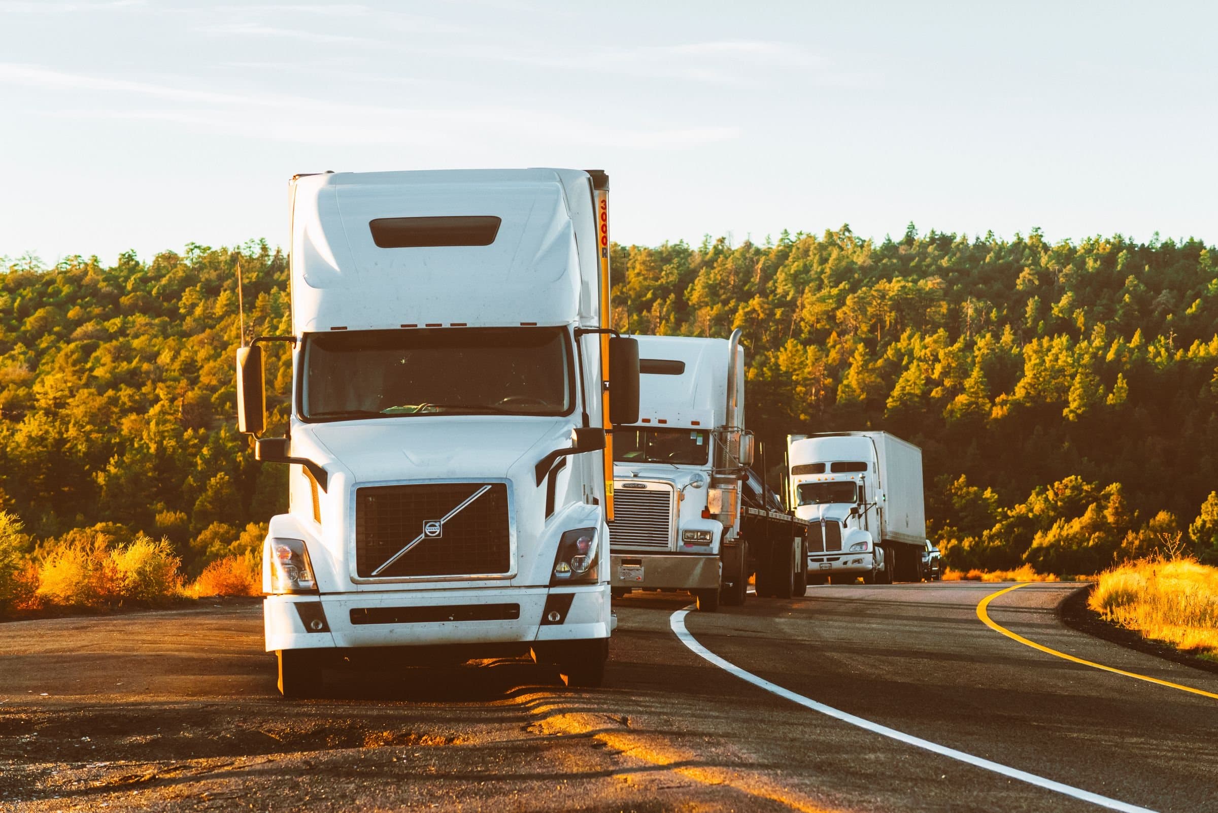 White tractor-trailers rolling through a curve on a highway lined with pine trees