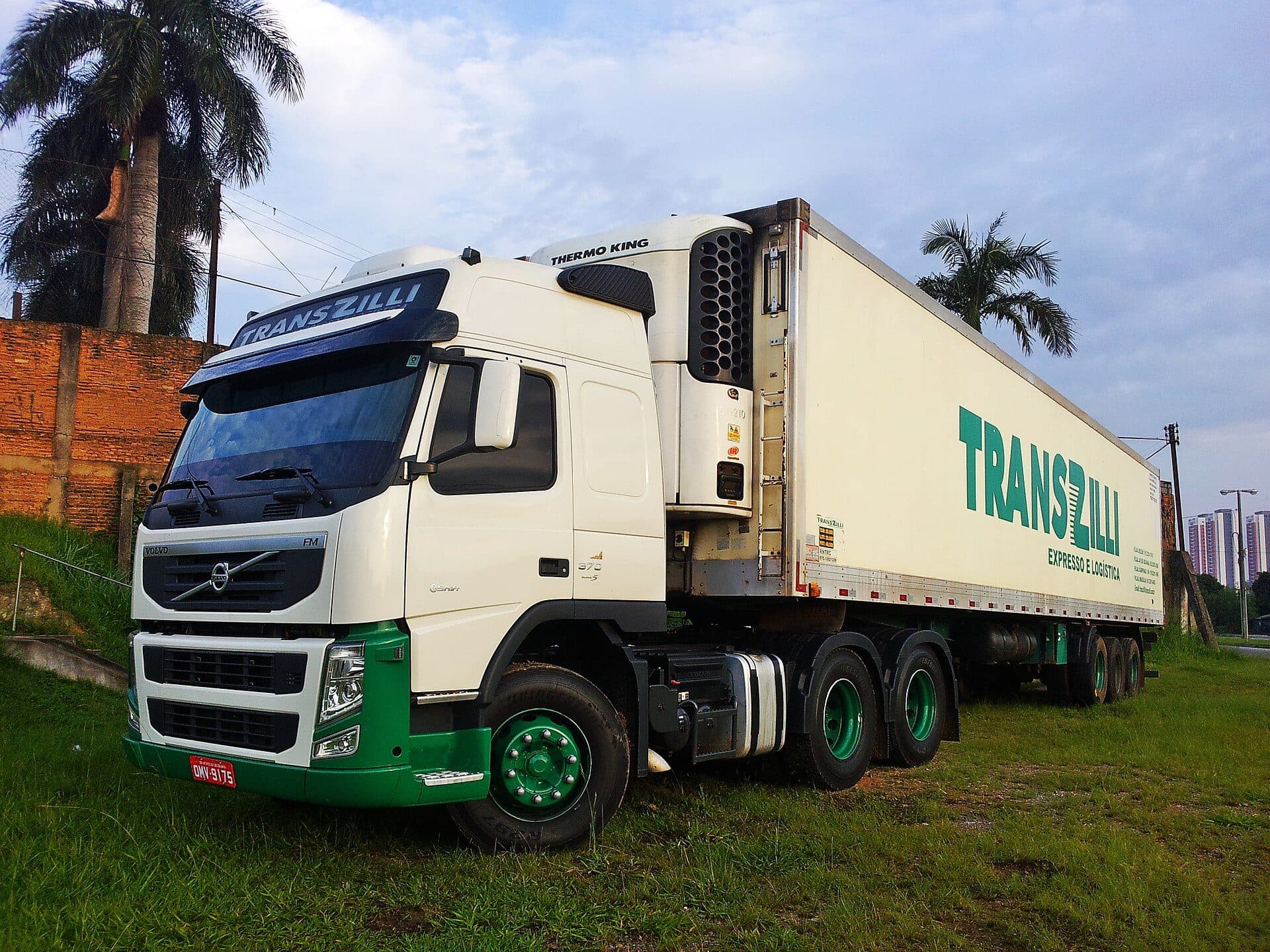 Volvo tractor with a refrigerated trailer parked on grass under palm trees